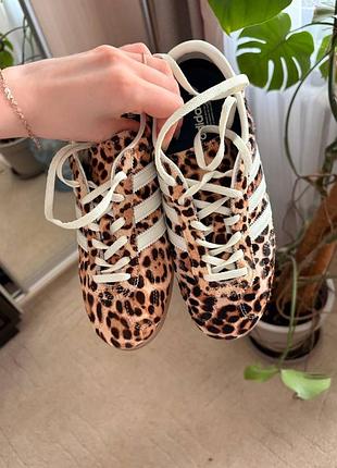 Жіночі кросівки gazelle lo pro adidas