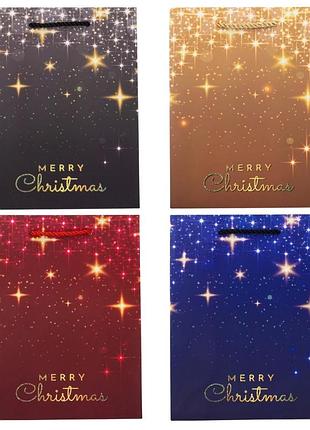 Подарочный пакет "merry christmas", 18*23 см * рандомный выбор дизайна elisey