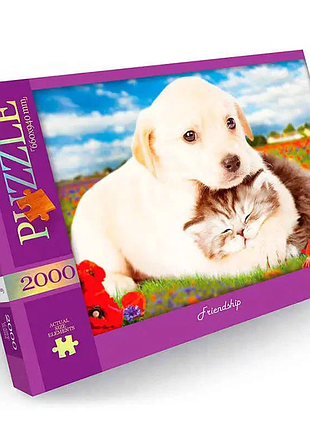 Пазл "friendship" danko toys c2000-01-09, 2000 ел.