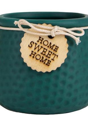 Серія кашпо " sweet home", 7,5 см " 6 кольорів по 2 шт elisey