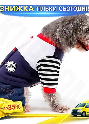 ©➀костюм для собак hawoo 99 navy blue s стильний одяг для собак весна осінь з кишенями ku-22