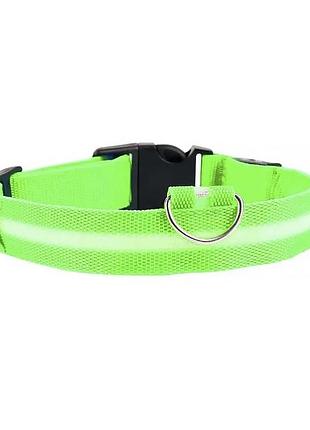 Світлодіодний led-нашийник usb світний для собак і котів green l