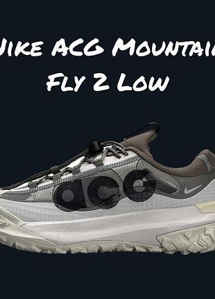 Nike acg mountain fly 2 low light iron ore 5