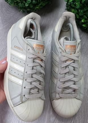 Фирменные кроссовки adidas superstar
