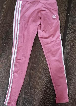 Котоновые лосины adidas 2