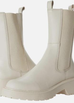 Жіночі чоботи шкіряні steve madden