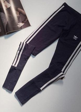 Лосіни adidas