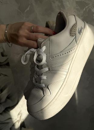 Кроссовки lacoste 5