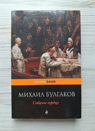 Михайло шпильок. собаче серце