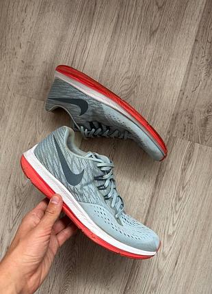 Кросівки nike zoom оригінал