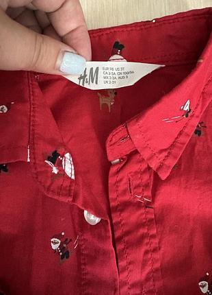 Новорічний одяг h&m для хлопчика 3