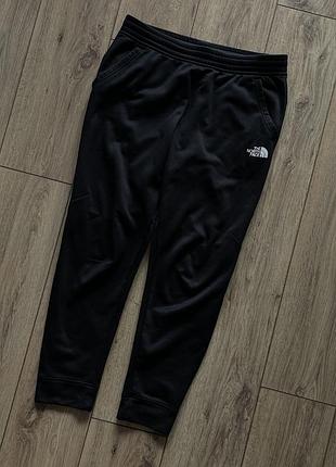 Штани the north face
