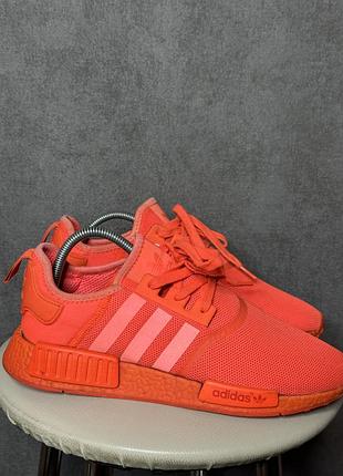 Кросівки adidas nmd r1