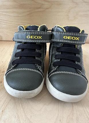 Демісезонні кросівки geox 2