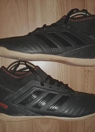 Футзалки adidas predator 19.3 in (indoor) размер 371⁄3 длина потолков 23.5-24 см