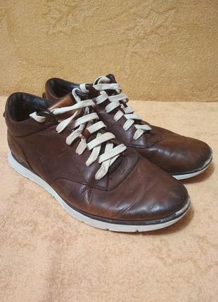 Черевики, кросівки timberland