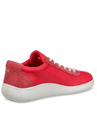 Кросівки, кеди ecco soft zero. оригінал. р 36 4
