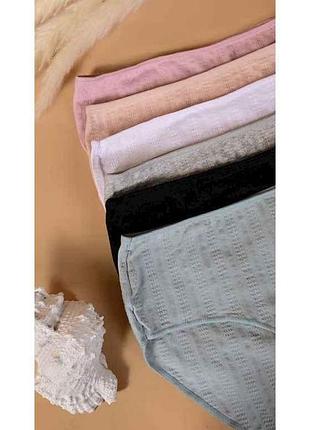 Трусы жен. m6495 арт.00-00398214 р.2xl 1шт тм family
