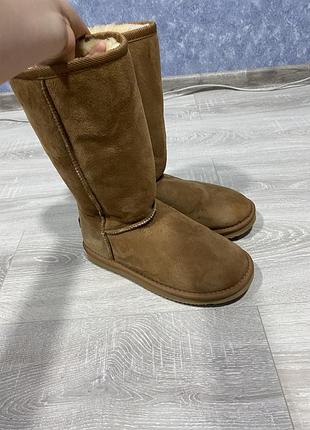 Ботінки ozalia 38 р