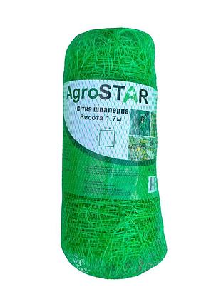 Сетка обоевая 15*17"agrostar"1.7*50 м