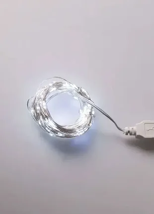Гірлянда роса 100led 10 метрів від usb 5