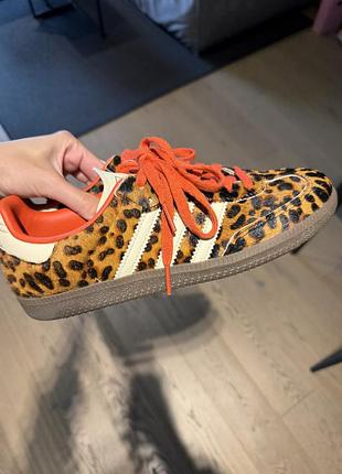 Кросівки adidas samba leo
