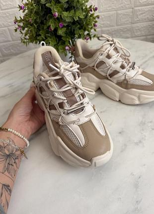 Кросівки steve madden стано нових 36-37 розмір