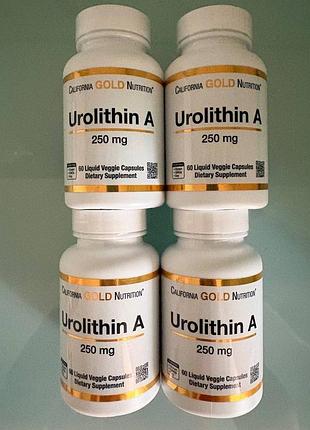 Уролитин a, 250 мг, 60 капсул, california gold nutrition