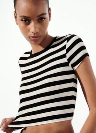 Топ  трикотажний zara