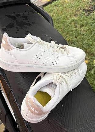 Кеди жіночі adidas