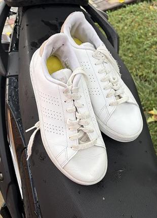 Кеди жіночі adidas 2