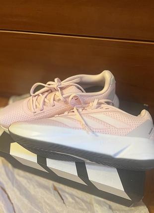 Кросівки adidas жіночі 2