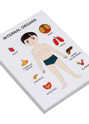 Пазли навчальні internal organs 30349
