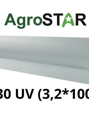 Агроволокно"agrostar" 30 uv біле(3,2*100)*