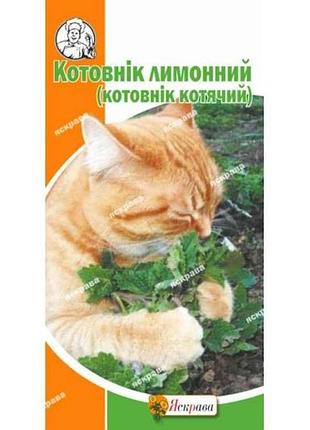 Котовник лимонный (20 пачек) 0.5г тм яскрава