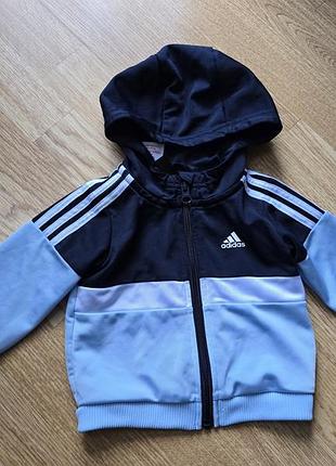 Adidas кофта 3-6 месяцев