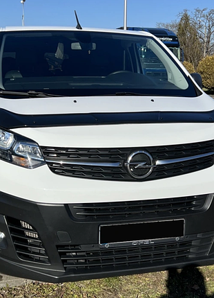 Мухобойка для expert/vivaro/proace/zafira/jumpy/spacetoure 2018+ (tan24)