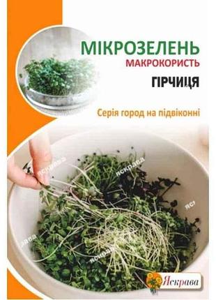 Горчица семена микрозеленые макси (10 пачек) 30г тм яскрава