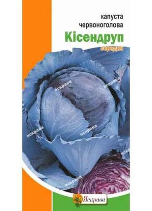 Капуста червоноголова кісендруп (20 пачок) 0,5г тм яскрава