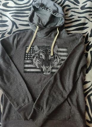 Світшот tigers usa