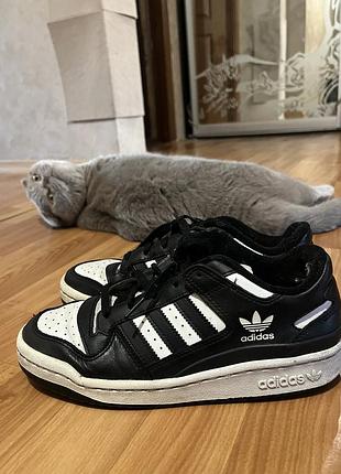 Кросівки adidas forum low