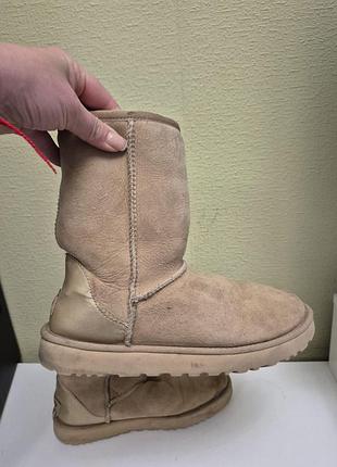 Фірмові чоботи ugg