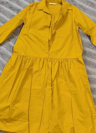 Горчичное хлопковое платье zara 6