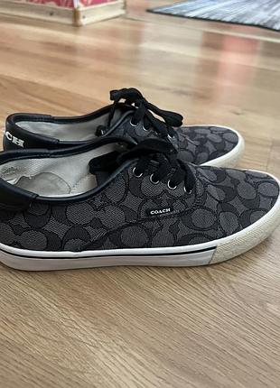 Кеди жіночі coach сірі