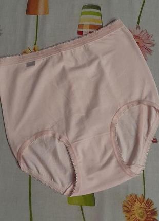 Трусики basic maxi pinc 4