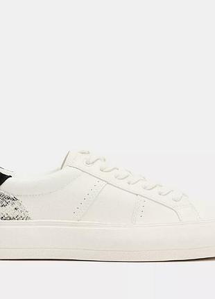 Кросівки zara 40  26  см 2