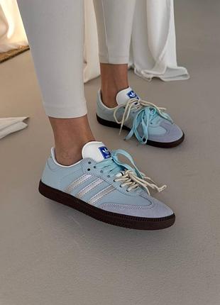 Adidas samba
blue / double laces 7