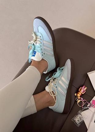Adidas samba
blue / double laces 4