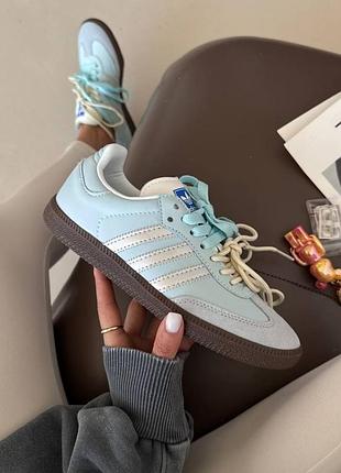 Adidas samba
blue / double laces