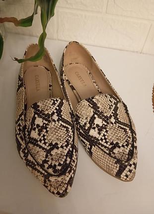 Чешки питонового принта. кожа. carvela